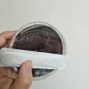 GS25 길동하이브점 | GS신상아이스크림 아이스브륄레 초코맛 품절템? 맛있어 기절!280칼로리! 조단백질,조지방이란게 이거...