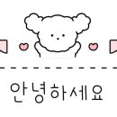 대부도바다애견펜션개꿀하우스