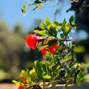 다정누림 이미지