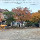 푸른가든 이미지