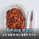 캠핑 필수템! 간편하고 맛있는 하린이네 쭈꾸미 밀키트 후기