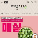 생방송투데이 광양 매실 주문처 알아보기(이주의 장바구니)