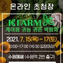 케이-팜 이미지