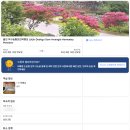 월드황토민박 이미지