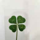 율하청운부동산공인중개사사무소 이미지