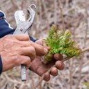 금천농원 이미지
