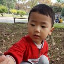 발도르프예쁜어린이집