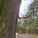 단종역사관 이미지