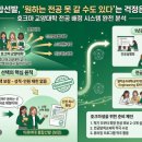 기우시스템
