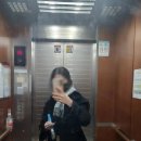 예닛시 이미지