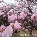브니엘의 아침