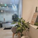 피로 푸는데에 최고! 자곡동마사지 &#39;더풋샵 세곡점&#39;