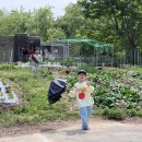 풍년농자재 이미지