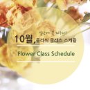 [04/25] (저녁반) 프리저브드 플라워 미니센터피스 - 원데이 클래스 | #강남플라워레슨, 라온하제 10월 플라워 레슨 일정표