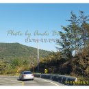 백송식당 이미지