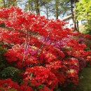 재능교육천안연수원 이미지