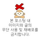 헤이오