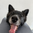 두유 개린이집 이미지