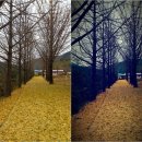 삼근초등학교옥방분교장 이미지