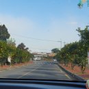 감귤박물관 위 이미지