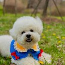 어울림근린공원 이미지