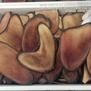 경희생생한의원 이미지