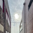 레드브리끄 이미지