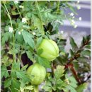 시월에농장 이미지