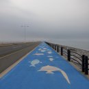 새만금관광안내소 | 바다 위를 걷는 특별한 경험! 군산 구불길 7-1길 새만금길 17.3km 강풍 속 완주 후기