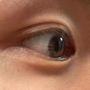 위본안경 위드렌즈 이미지