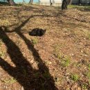 초롱어린이공원 이미지