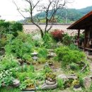 수련산방 이미지