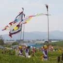 청보리축제장 이미지