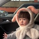 에덴미어캣프랜즈 | 인천 미어캣프랜즈 🐒