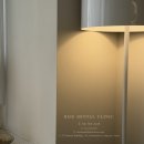 [공지] 라이즈치과의원 2025년 6월 진료일정 안내 입니다. (광화문역 치과)