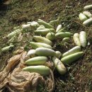 놀부농장 이미지