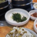 운림골농원 네이버블로그