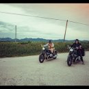 털보 MBN