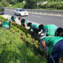 온양4동 온천대로 이미지