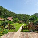 촌노의 정원민박 이미지