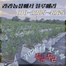 호기농장 이미지