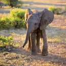 태양무도장 이미지