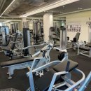 스타휘트니스 246 이미지