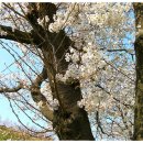 효자공원 이미지