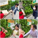 한라태권도 본관 3수련관 | [개포동 태권도] 지역 태권도장이 갖춰야 할 중요한 가치!! VTA에서 경험해 보세요.