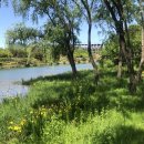 아소다이닝 이미지