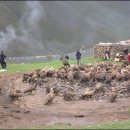 돌아가고싶은고향의산 이미지