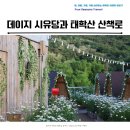 동남(풍세)-18-01 | 천안 풍세 데이지 카페 시유당 인근 걷기 좋은 태학산 휴양림 산책로