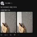 로인