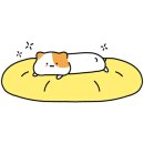 다목적소양